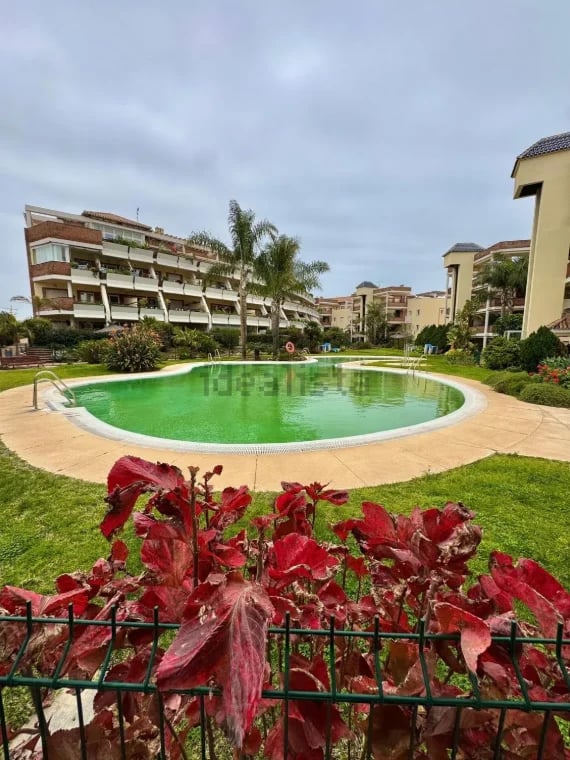 Bright green oval swimming pool surrounded by manicured gardens and apartment buildings on a sunny day